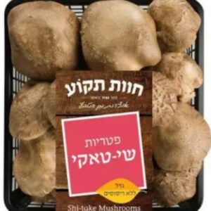 פטריות שיטאקי