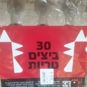 ביצים L