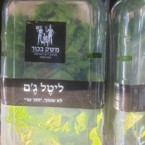 ליטל גים