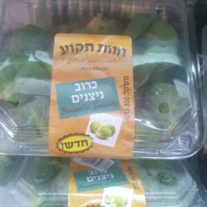 כרוב ניצנים