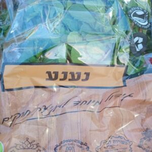 נענע גוש