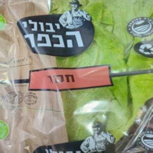 גוש קטיף