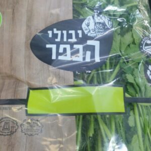 כוסברה גדולה גוש קטיף