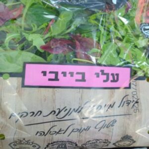 עלי בייבי גוש