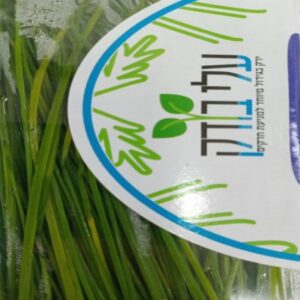עירית רגילה מארז
