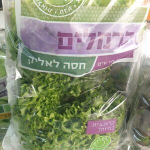חסה לאליק (ארוזה)