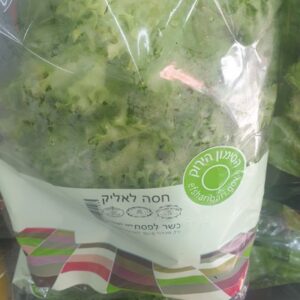 חסה לאליק גוש קטיף