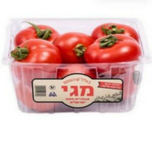 עגבנייה מגי