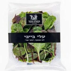 עלי בייבי